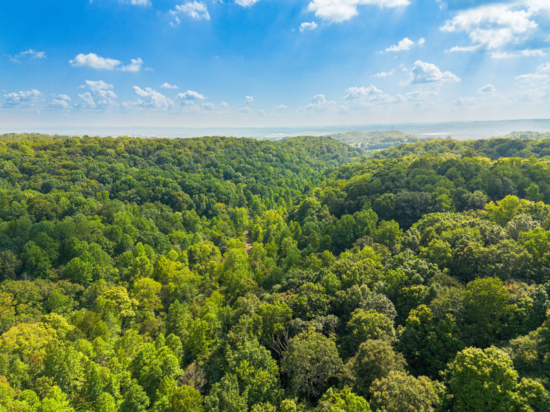 0 Sugar Ridge Rd, Spring Hill, TN 37174