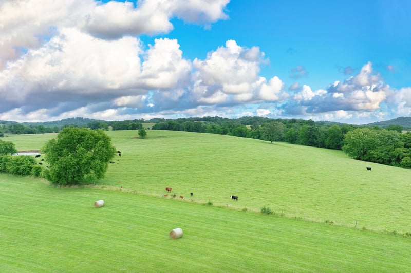 5 Deshea Creek Rd, Gallatin, TN 37066