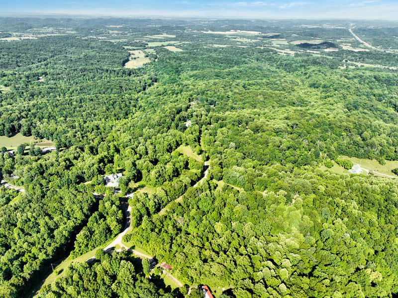 3925 Perkins Rd, Thompsons Station, TN 37179