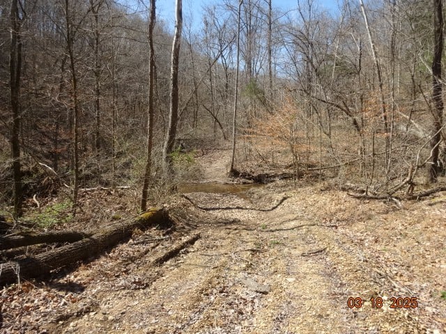 5310 Whites Creek Pike, Whites Creek, TN 37189