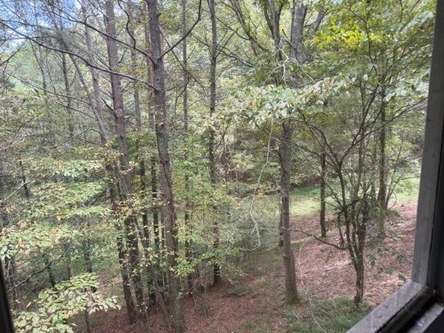 20 Eagle Mountain Villa Ct, Ellijay, GA 30540