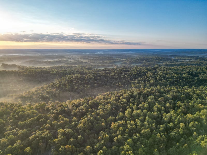 0 Cathey Hollow Rd, Burns, TN 37029