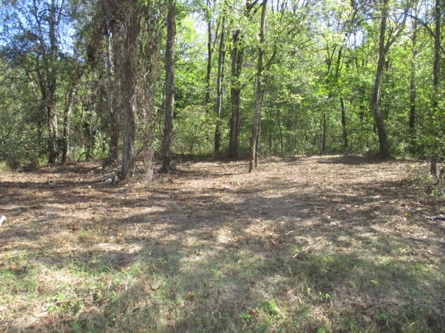 1129 Reese Rd Lot 1, Bethpage, TN 37022
