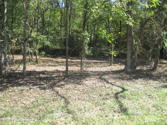 1141 Reese Rd Lot 2, Bethpage, TN 37022