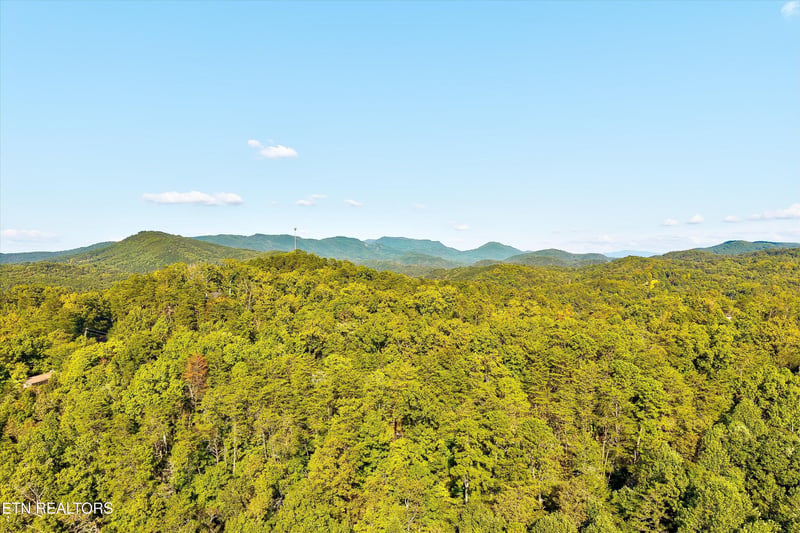 2462 Dogwood Loop Dr, Sevierville, TN 37876