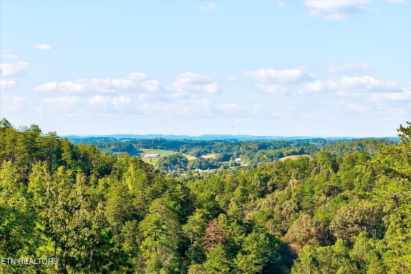 2462 Dogwood Loop Dr, Sevierville, TN 37876