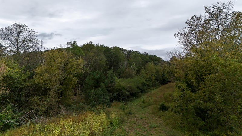 0 Greenwood Rd, Ringgold, GA 30736