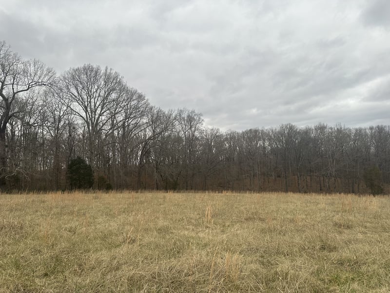 1 Myatt Loop, Burns, TN 37029