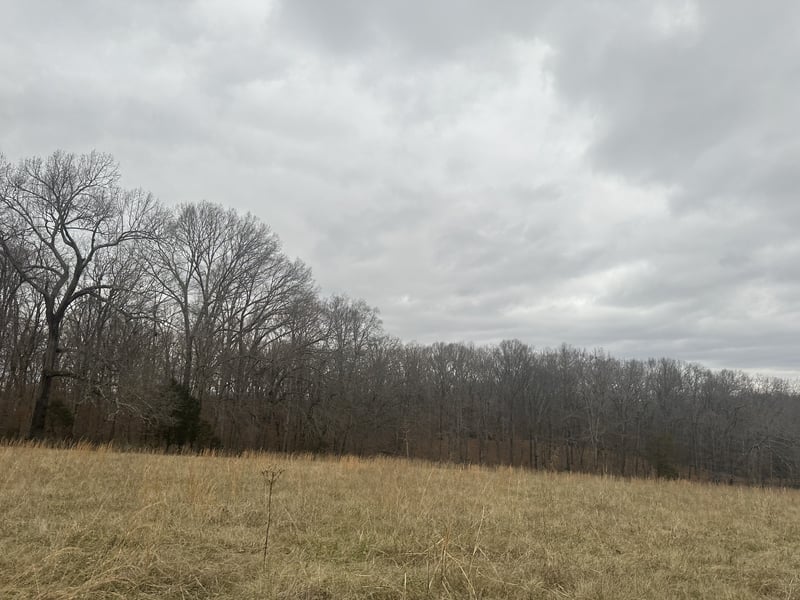 1 Myatt Loop, Burns, TN 37029