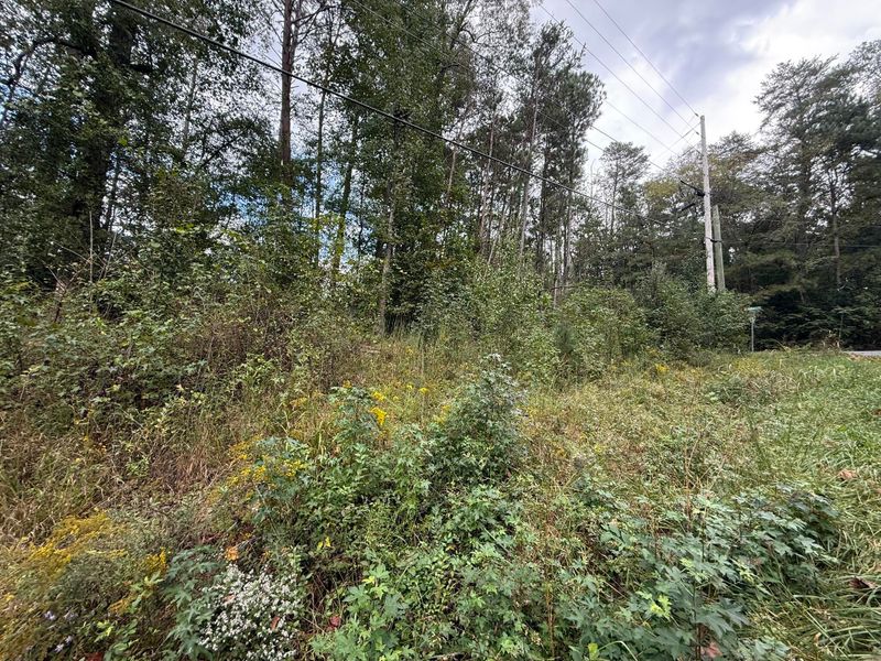 0 Longleaf Dr, Rocky Face, GA 30740