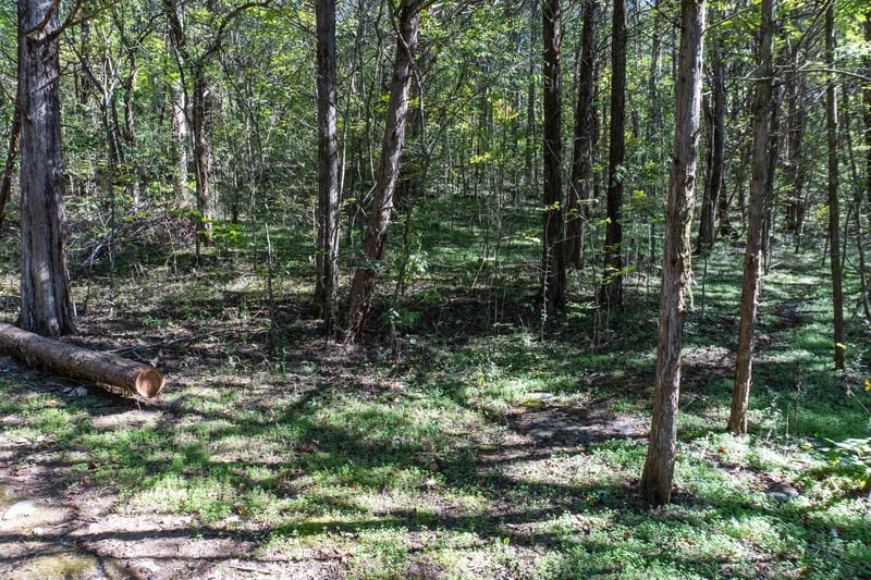 0 Winfree Ln, Brush Creek, TN 38547