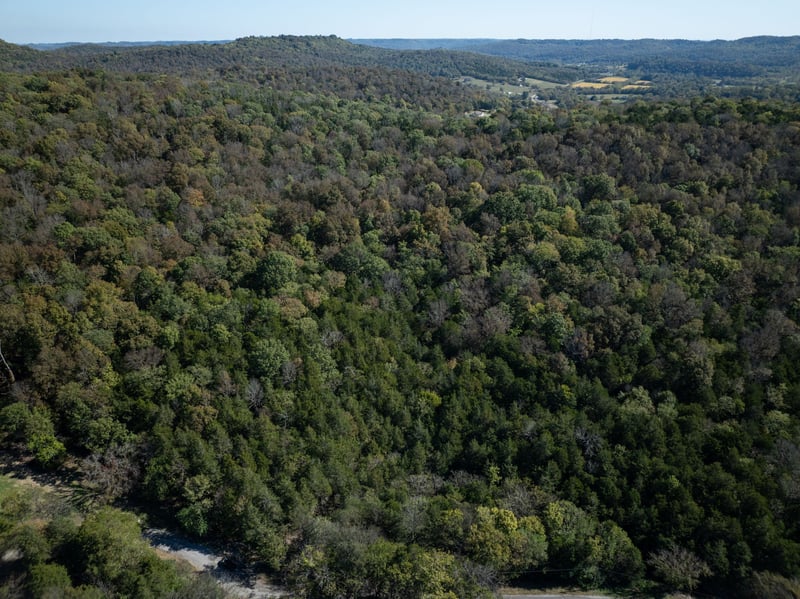 0 Winfree Ln, Brush Creek, TN 38547