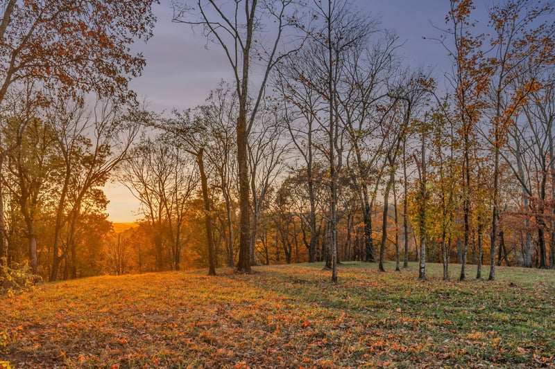 1809 Burke Hollow Rd Lot 1, Nolensville, TN 37135