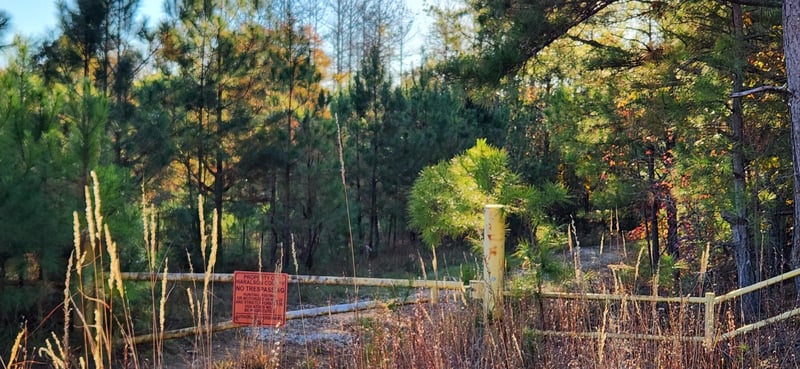 0 Budapest Rd, Tallapoosa, GA 30176