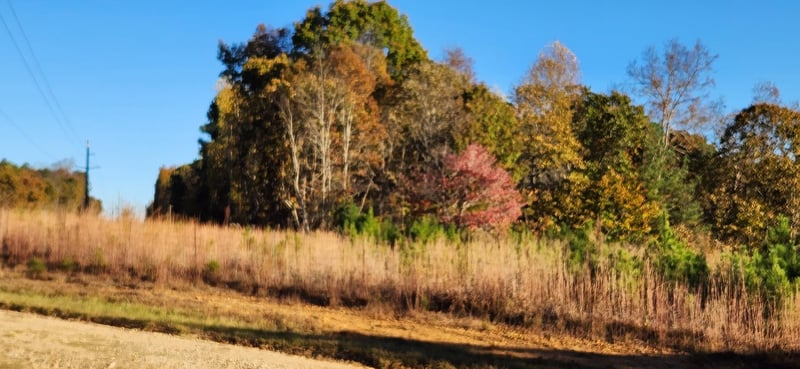 0 Budapest Rd, Tallapoosa, GA 30176