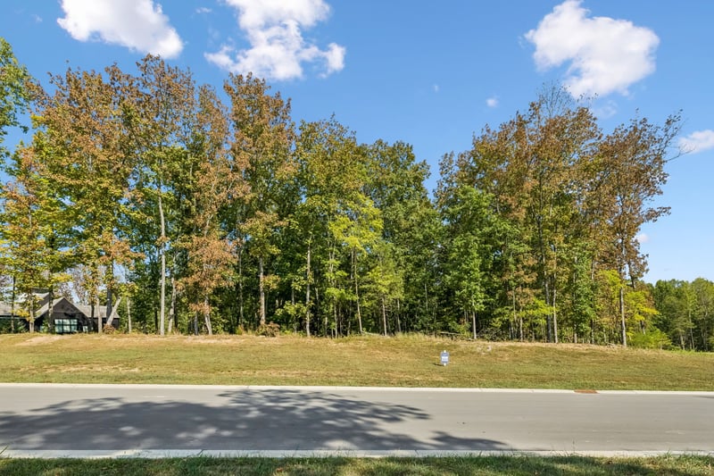 9211 Troubadour Dr Lot 1502, College Grove, TN 37046