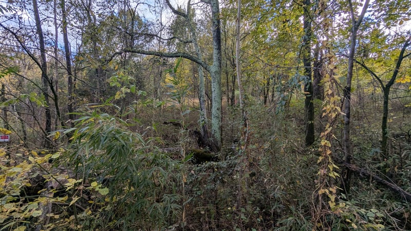 0 Greenvale Rd, Watertown, TN 37184
