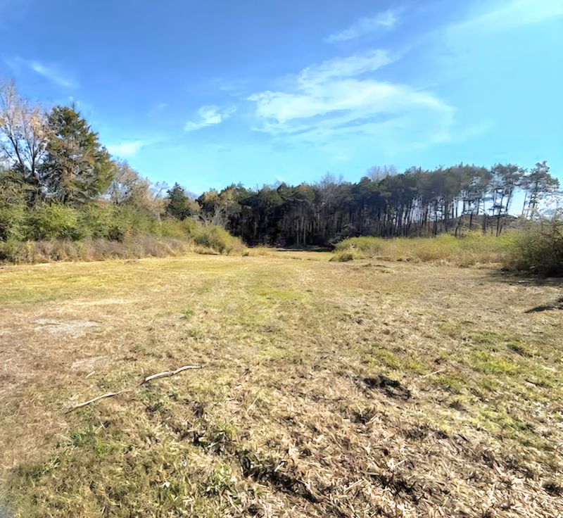 24 Spring Valley Dr, Mount Juliet, TN 37122