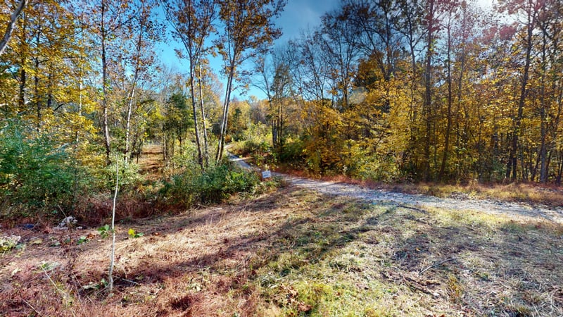 151 Angels Cove Ln, Lebanon, TN 37087