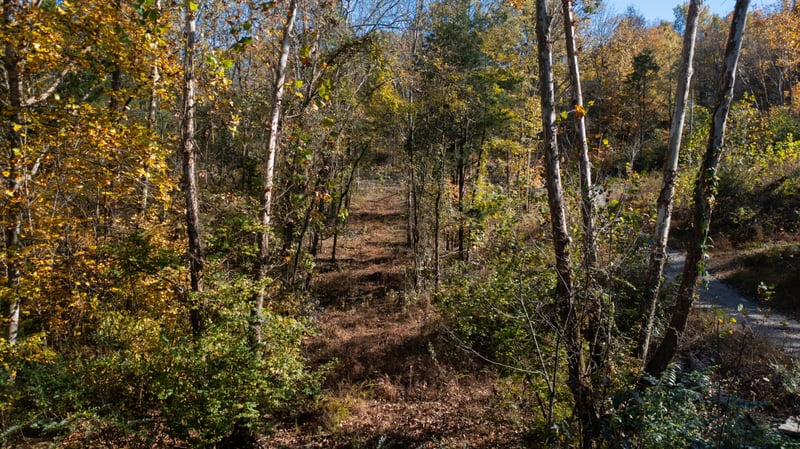 151 Angels Cove Ln, Lebanon, TN 37087