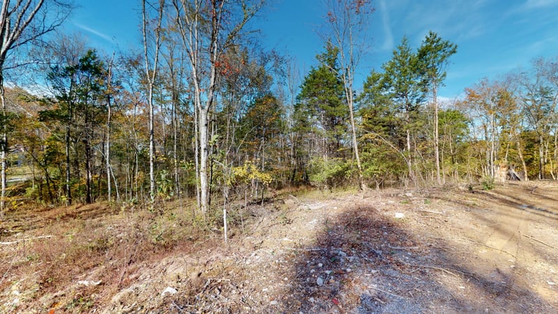 151 Angels Cove Ln, Lebanon, TN 37087