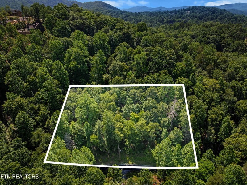 0 Emerald Springs Loop Lot 0008, Sevierville, TN 37862