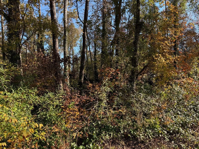 0 Apache Rd, Jackson, GA 30233