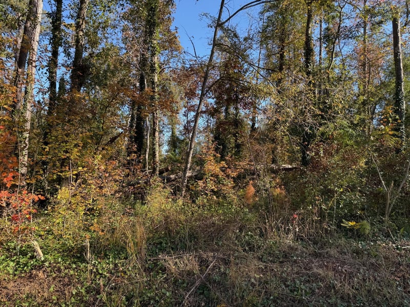 0 Apache Rd, Jackson, GA 30233