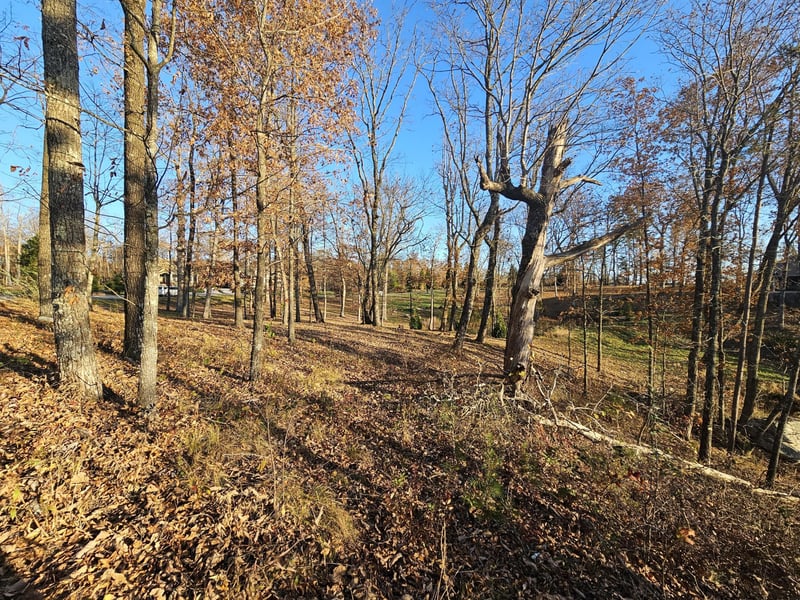 407 Brow Wood Ln, Lookout Mountain, GA 30750