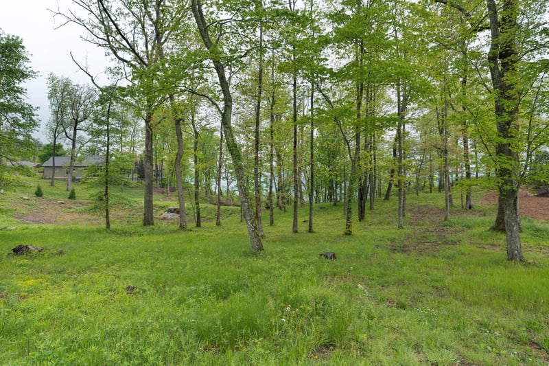 407 Brow Wood Ln, Lookout Mountain, GA 30750