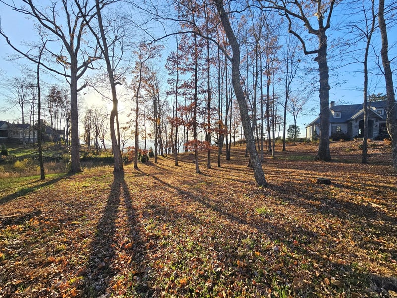 407 Brow Wood Ln, Lookout Mountain, GA 30750