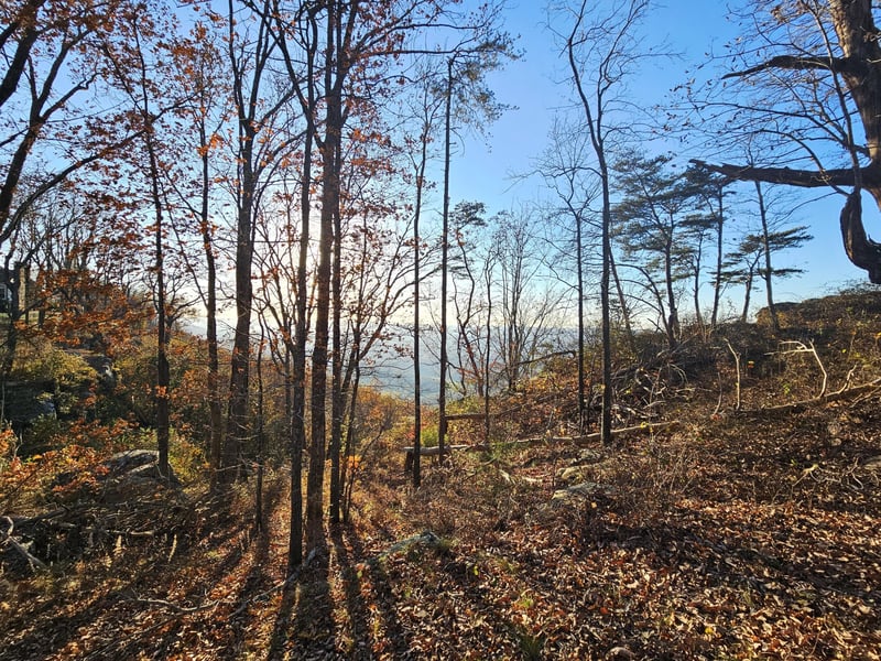 407 Brow Wood Ln, Lookout Mountain, GA 30750