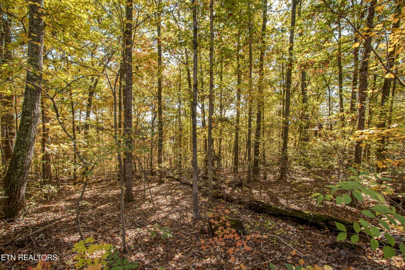 5232 Beverly Oaks Dr Lot 9, Knoxville, TN 37918