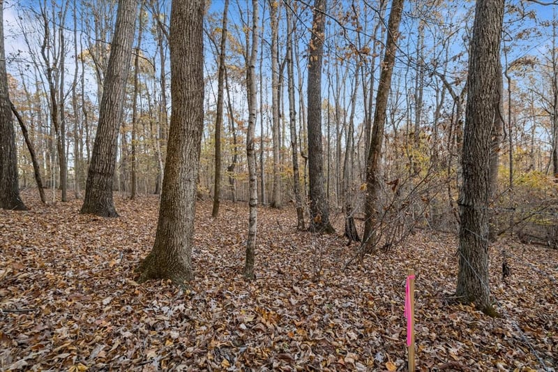 0 Adams Rd, Charlotte, TN 37036
