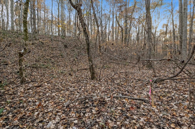 0 Adams Rd, Charlotte, TN 37036