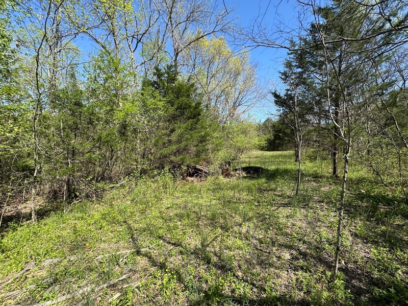 0 Canoe Branch Rd, Lebanon, TN 37087