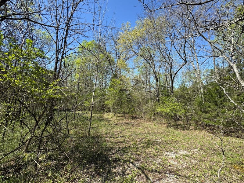 0 Canoe Branch Rd, Lebanon, TN 37087