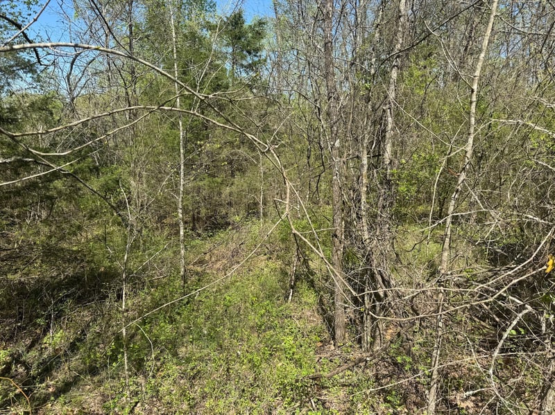 0 Canoe Branch Rd, Lebanon, TN 37087