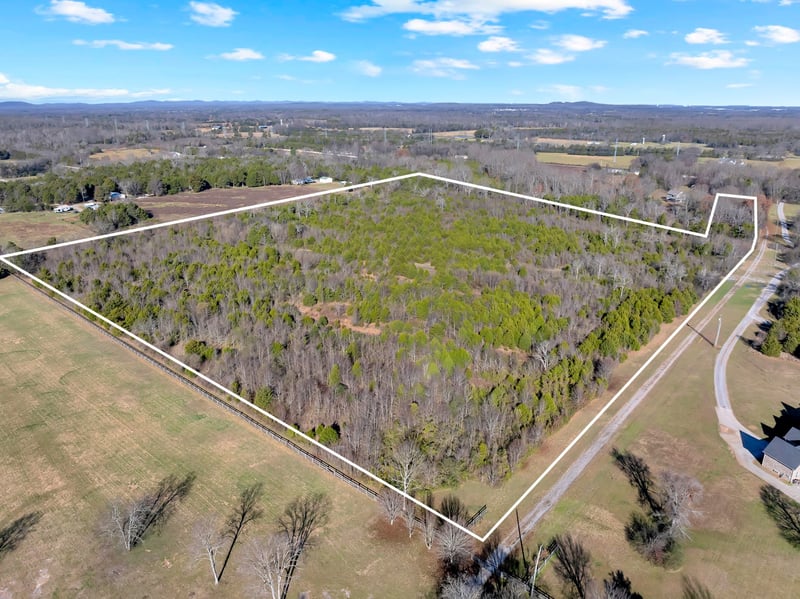 7787 Lowe Christiana Rd, Christiana, TN 37037