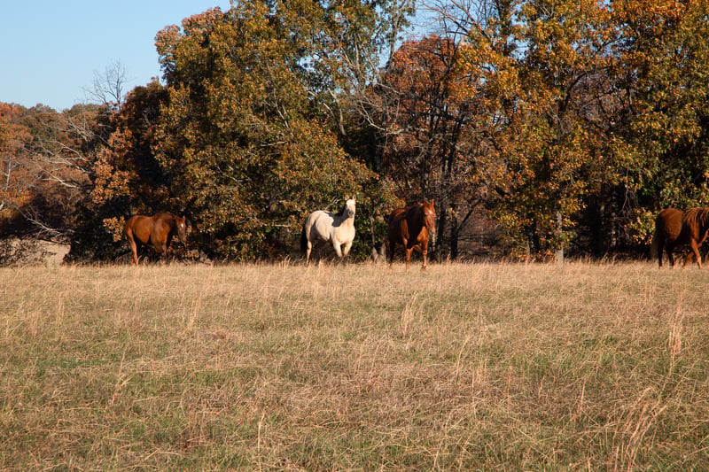 7252 Northwest Hwy, Fairview, TN 37062