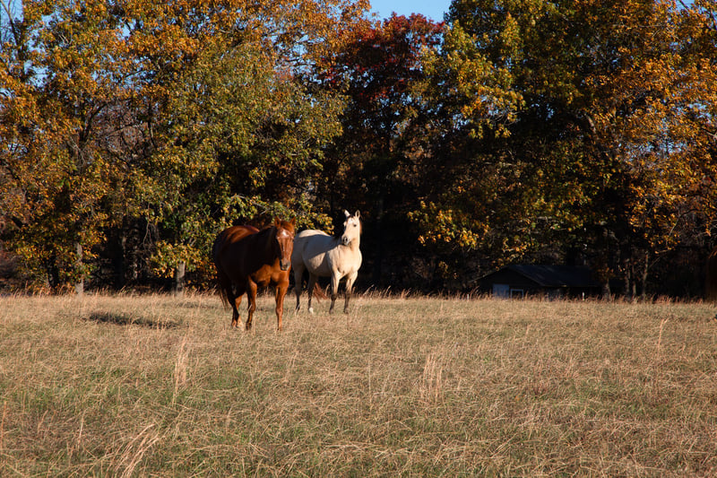 7252 Northwest Hwy, Fairview, TN 37062
