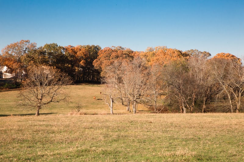 7252 Northwest Hwy, Fairview, TN 37062