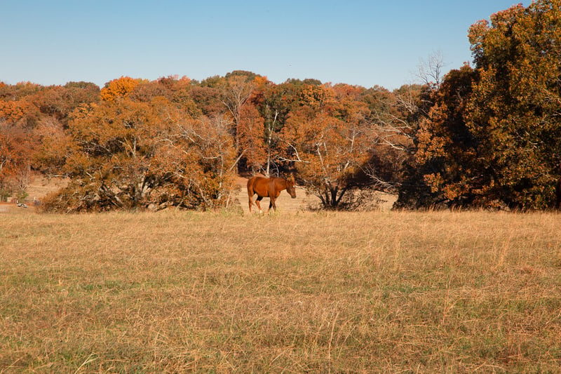 7252 Northwest Hwy, Fairview, TN 37062
