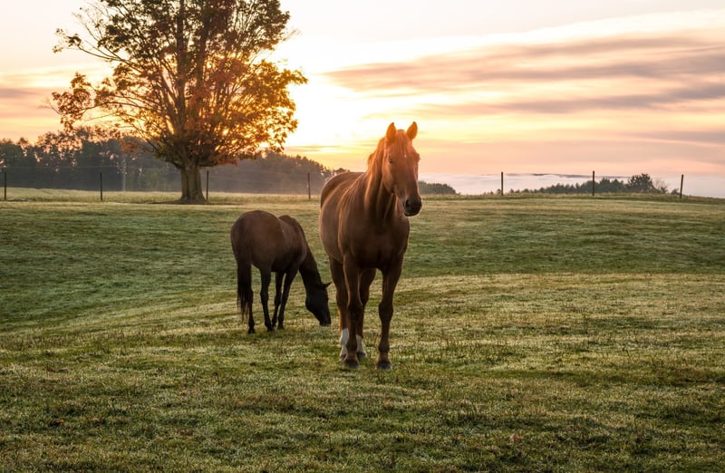 2029 Vista Creek Ln Lot 8, Franklin, TN 37064