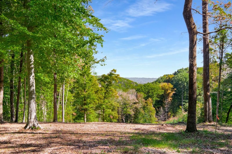 5436 Parker Branch Rd, Franklin, TN 37064