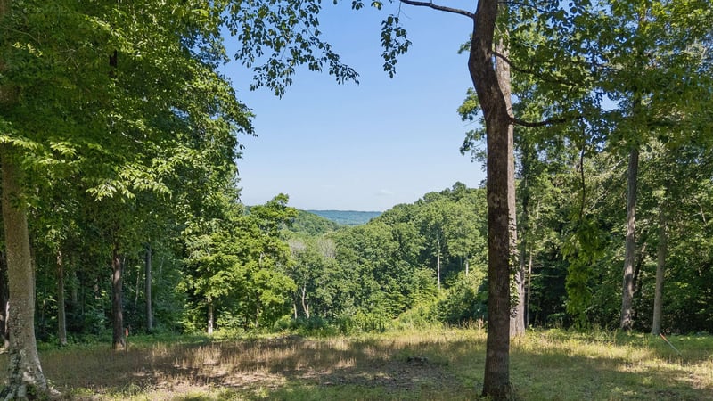5436 Parker Branch Rd, Franklin, TN 37064