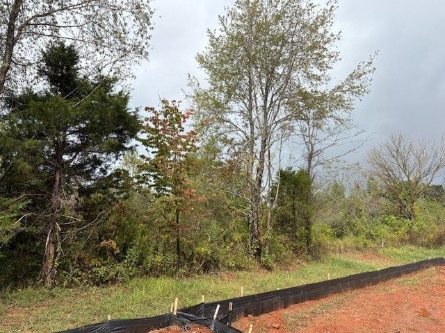 420 Cloudland Dr, Portland, TN 37148