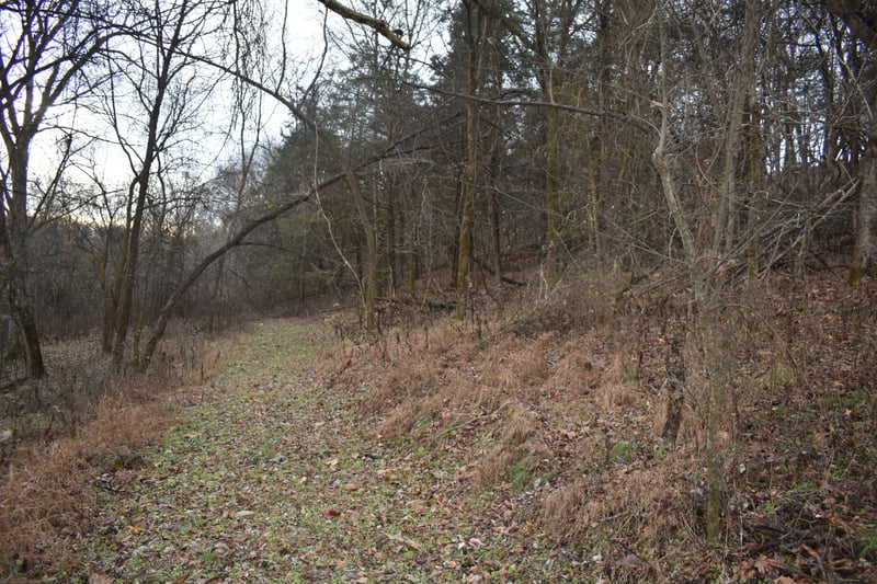 256 Maggart Rd, Elmwood, TN 38560