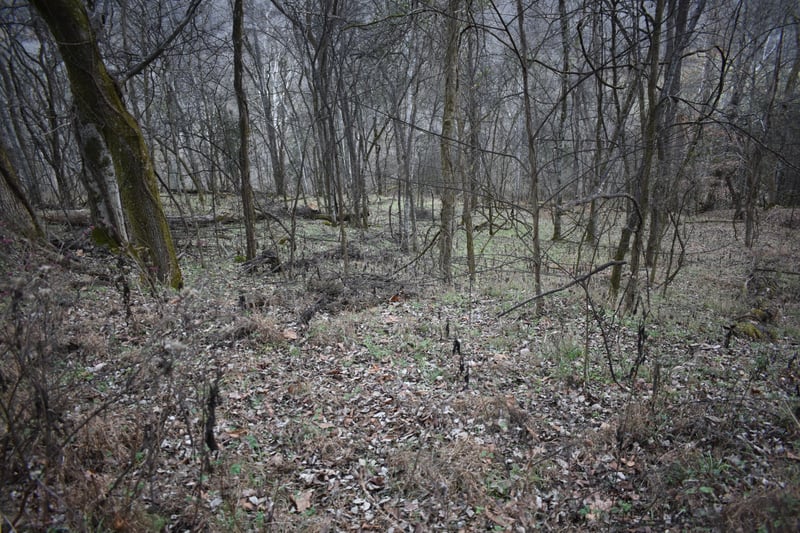 256 Maggart Rd, Elmwood, TN 38560