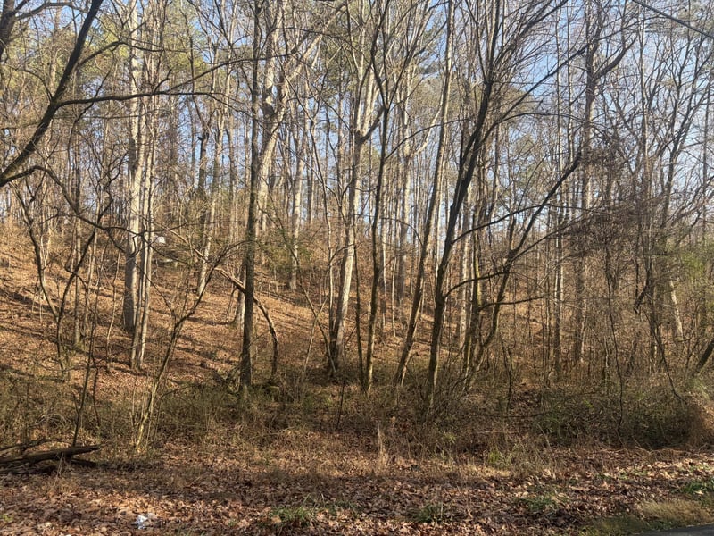 0 Rauschenberg Rd NW, Dalton, GA 30720
